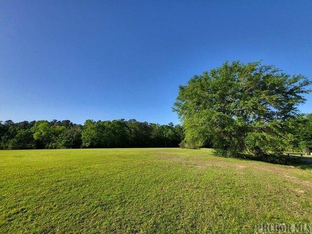 Land for sale in Carriere, Mississippi