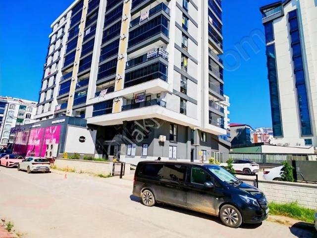 Atakum, Samsun içerisinde kiralık mülk