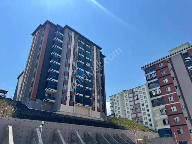 Yozgat Merkez, Yozgat içerisinde kiralık mülk