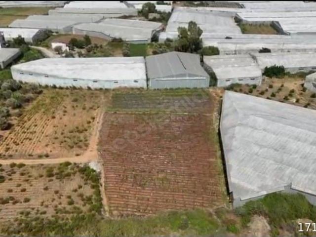 Alataş, Anamur içerisinde satılık Arsa