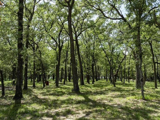 Land for sale in Hunt, Texas