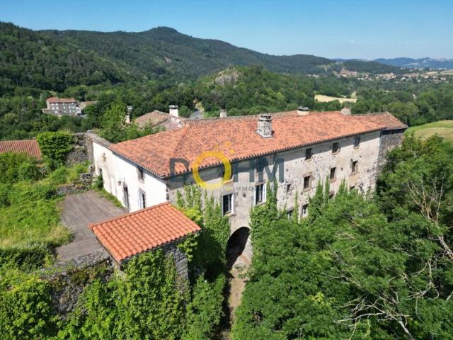 Maison vente à Saint-arcons-d'allier, Navat