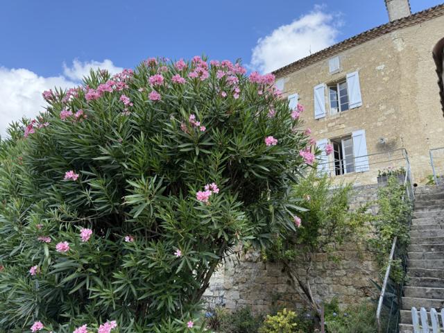 Maison vente à Condom, Maignaut-tauzia