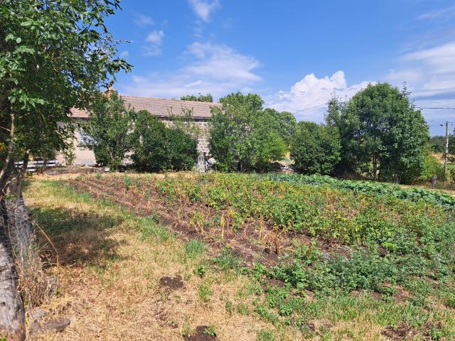 Maison vente à Yssingeaux, Mazet-saint-voy