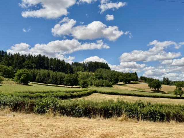 Maison vente à Charolles, La Clayette