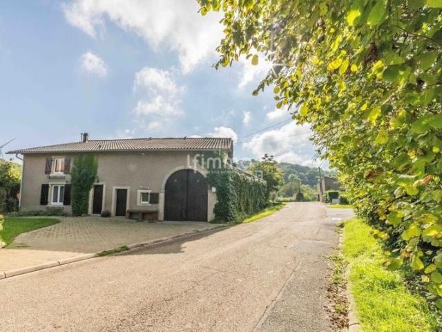 Maison vente à Sarrebourg-Château-Salins, Lidrezing