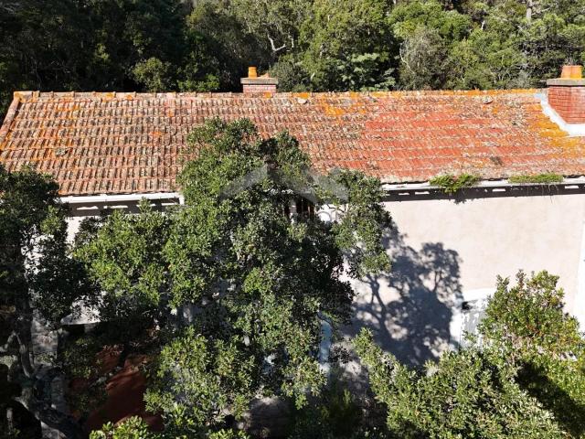 Villa vente à Sartène, Zonza