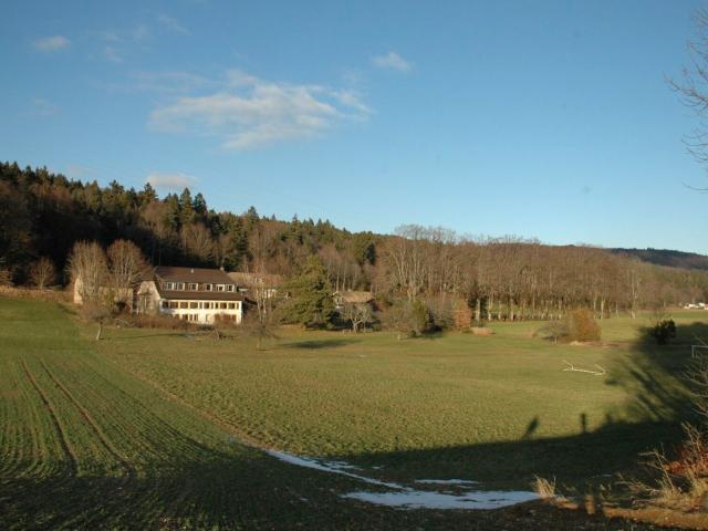 Haus kaufen