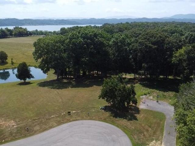Land for sale in White Pine