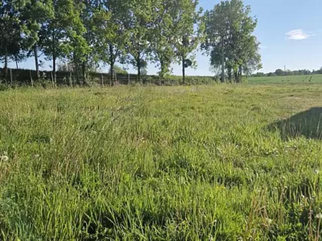 Terrain vente à Ancinnes, Sarthe