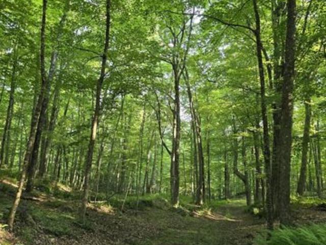 Land for sale in Manchester, Connecticut