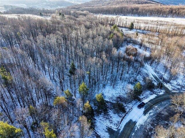 Land for sale in Ellicottville