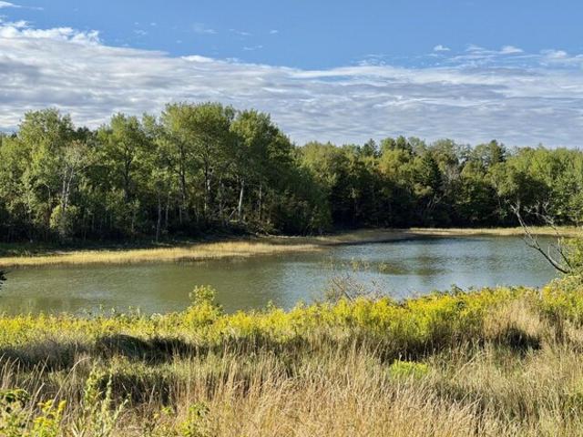 Property for sale in East Machias, Maine