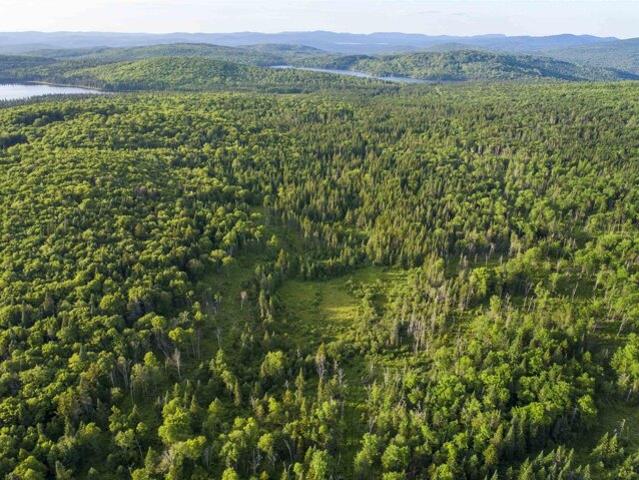 Land for sale in New Hampshire