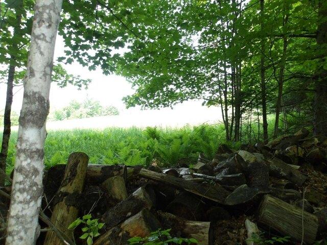 Land for sale in Lyndon, Vermont