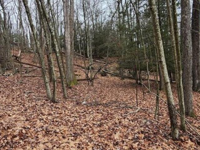 Land for sale in Greentown