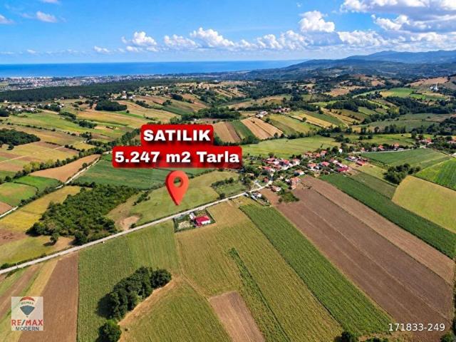 Ortakillik, 19 Mayıs içerisinde satılık Arsa