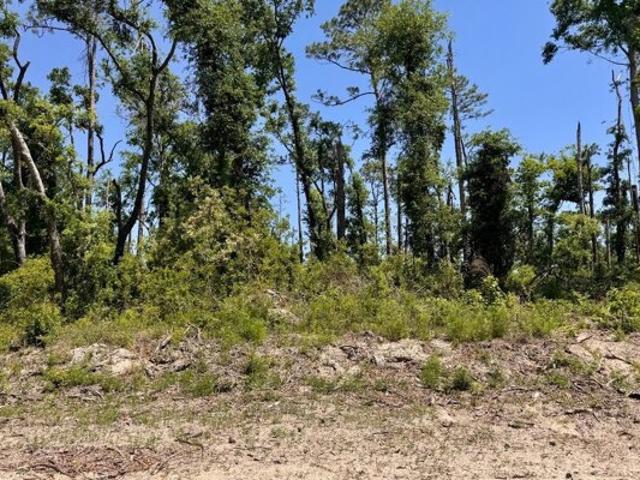 Land for sale in Live Oak