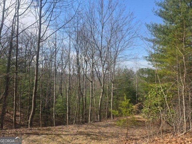Land for sale in Blairsville