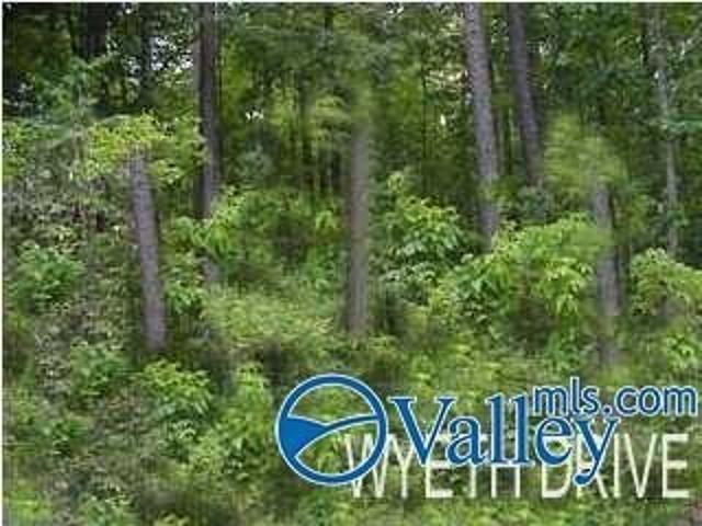 Land for sale in Guntersville Land for sale in Guntersville