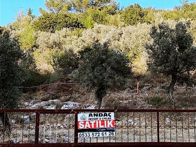Torbali, İzmir içerisinde satılık Arsa