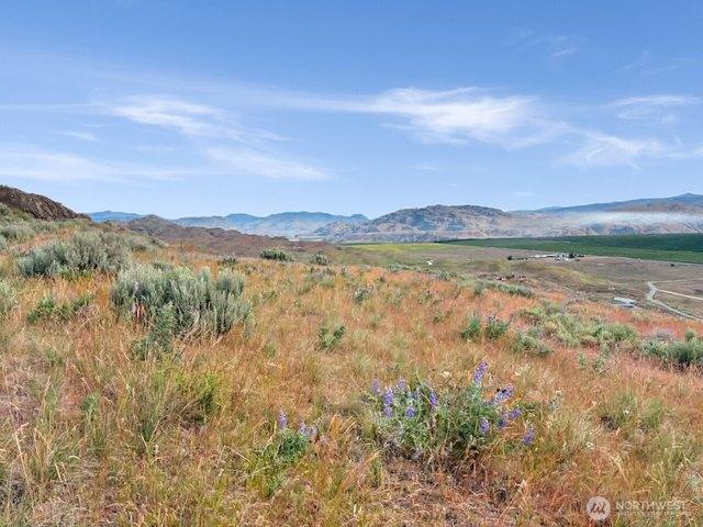 Land for sale in Brewster, Washington