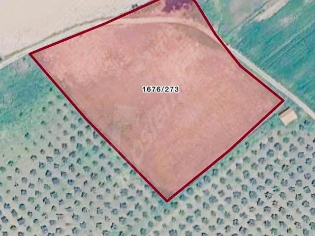Dikili, İzmir içerisinde satılık Arsa