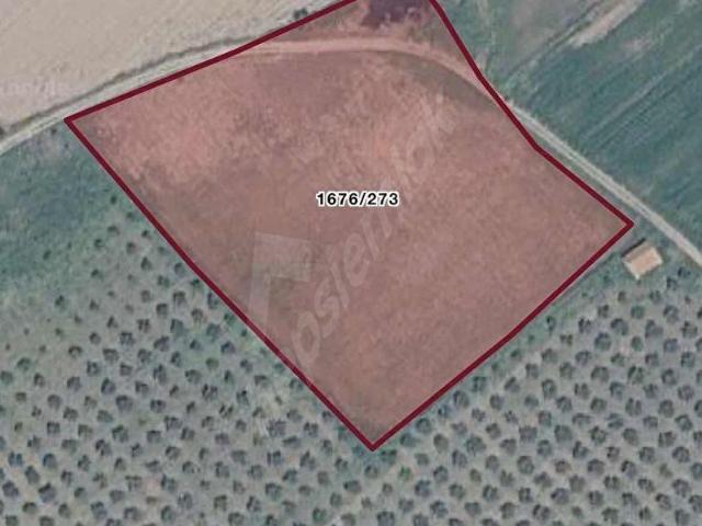 Dikili, İzmir içerisinde satılık Arsa
