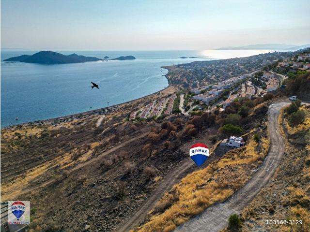 İzmir Merkez içerisinde satılık Tarla İzmir Merkez içerisinde satılık Tarla