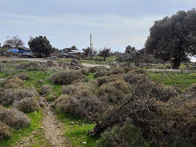 Dikili, İzmir içerisinde satılık Arsa