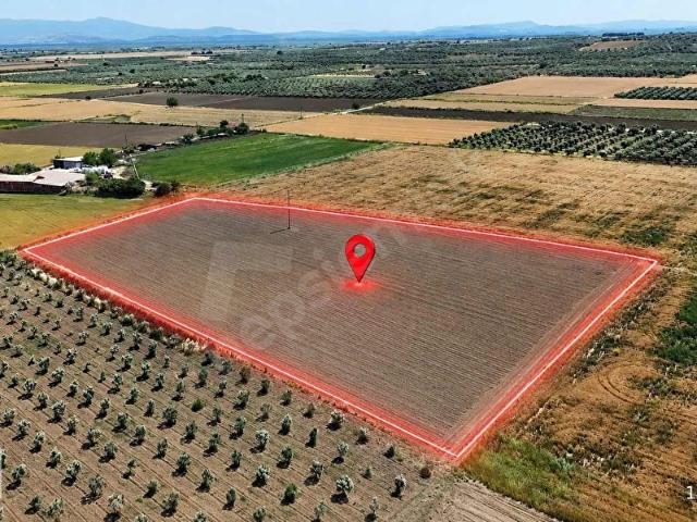 Dikili, İzmir içerisinde satılık Arsa