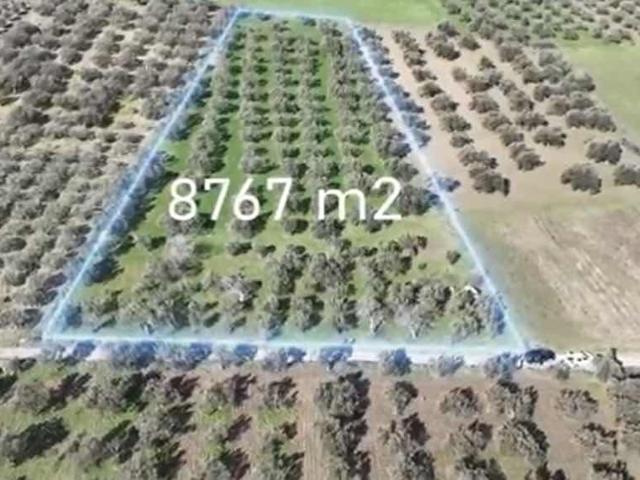 Çandarlı Mahallesi, Dikili içerisinde satılık Arsa