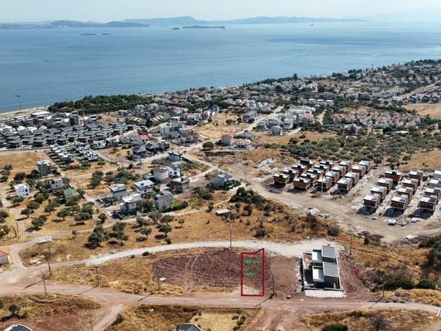 Çandarlı Mahallesi, Dikili içerisinde satılık Arsa