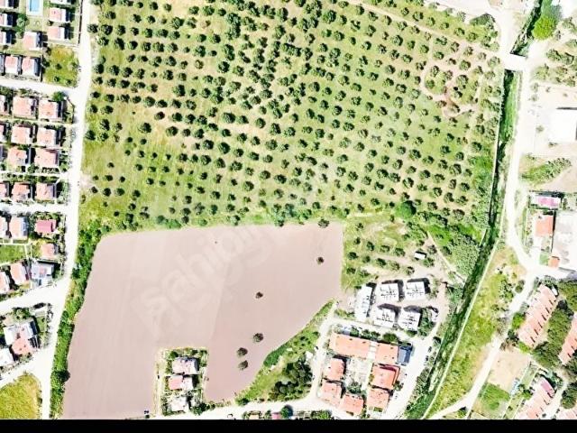 Dikili, İzmir içerisinde satılık Arsa