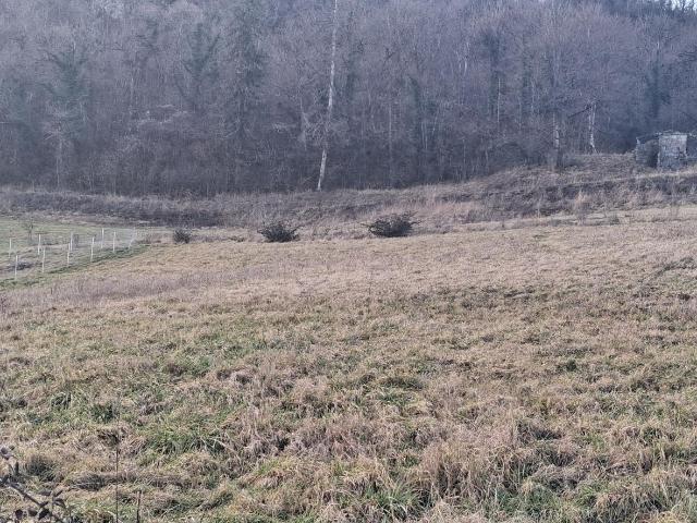 Terrain vente à Andelot-Morval, Jura