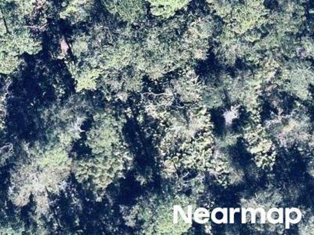 Land for sale in Crescent City, Florida