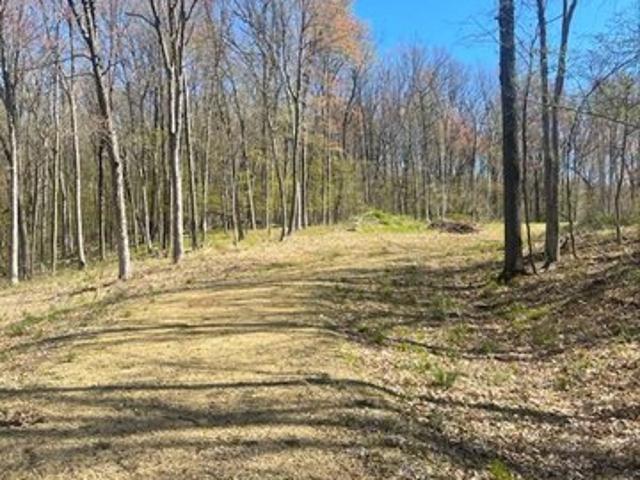 Land for sale in Dunn, Wisconsin