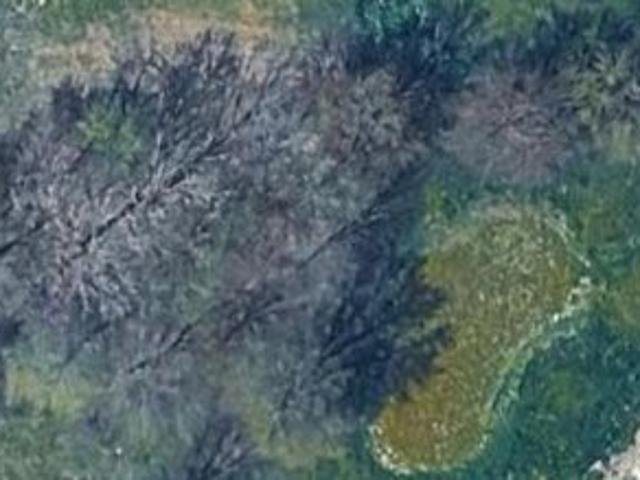 Land for sale in Centerburg, Knox County