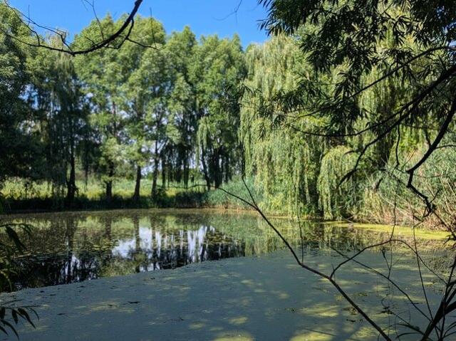 Land for sale in Swanton Land for sale in Swanton