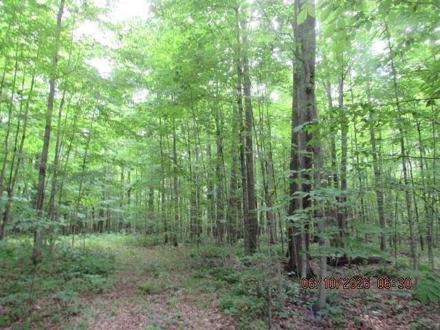 Land for sale in Madrid, New York
