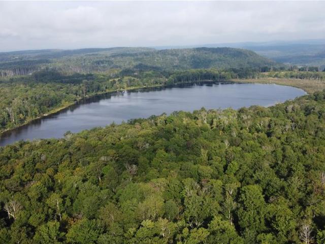 Land for sale in Claryville, New York