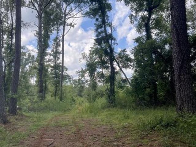 Land for sale in Woodland, Talbot County