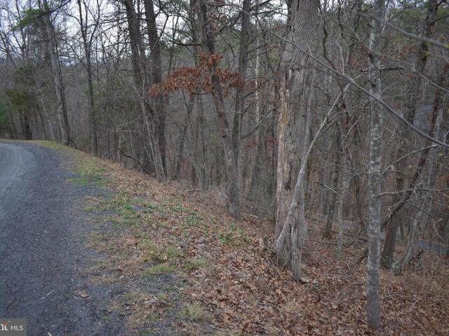 Land for sale in Virginia