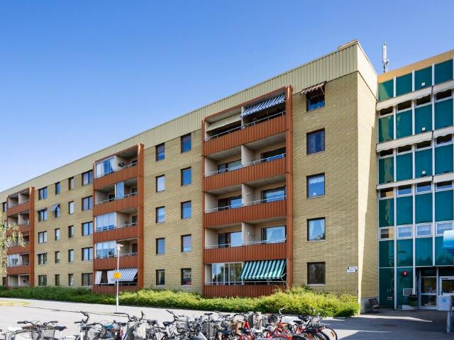 Lägenhet hyra i Skellefteå, Västerbotten