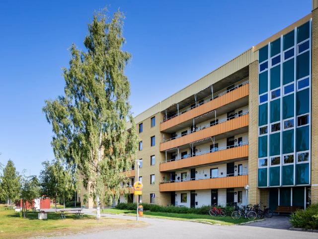 Lägenhet hyra i Skellefteå, Västerbotten
