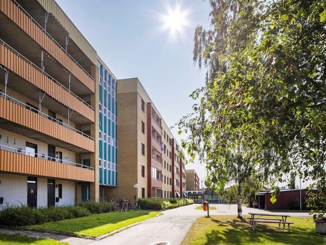 Lägenhet hyra i Skellefteå, Västerbotten