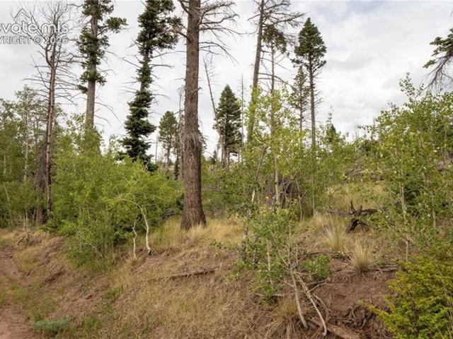 Land for sale in Fort Garland, Colorado