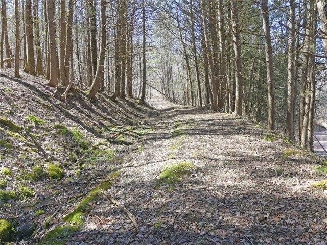 Land for sale in Andes, New York