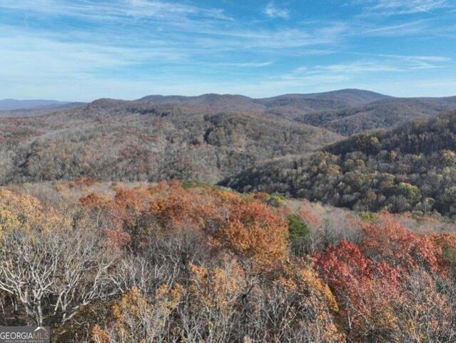 Land for sale in Ellijay Land for sale in Ellijay