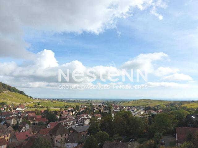 Terrain vente à Andlau, Collectivité européenne d'Alsace